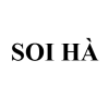 Bưởi Soi Hà