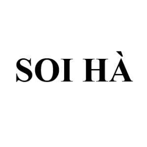 Bưởi Soi Hà