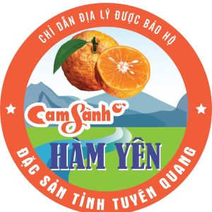 Cam sành Hàm Yên