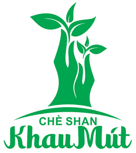 Chè shan Khau Mút