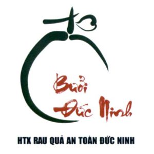 Bưởi Đức Ninh
