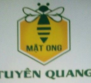 Mật ong Tuyên Quang